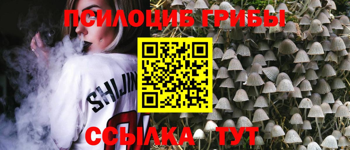 Галлюциногенные грибы Magic Shrooms Ставрополь