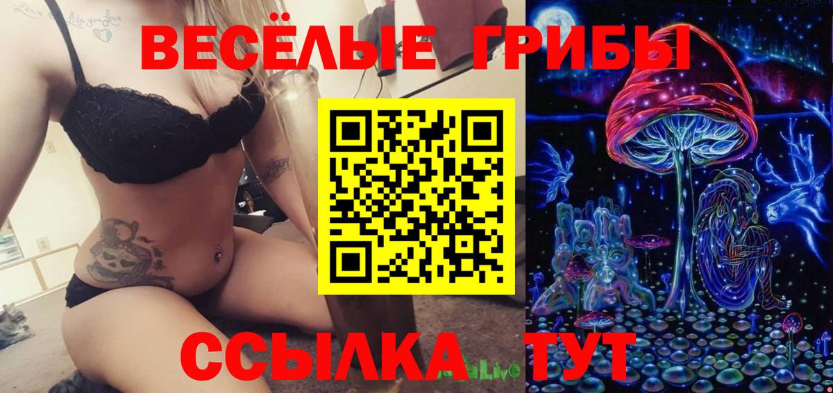Ставрополь  Псилоцибиновые грибы мухоморы  Псилоцибиновые грибы Psilocybine cubensis  Вход с VPN 